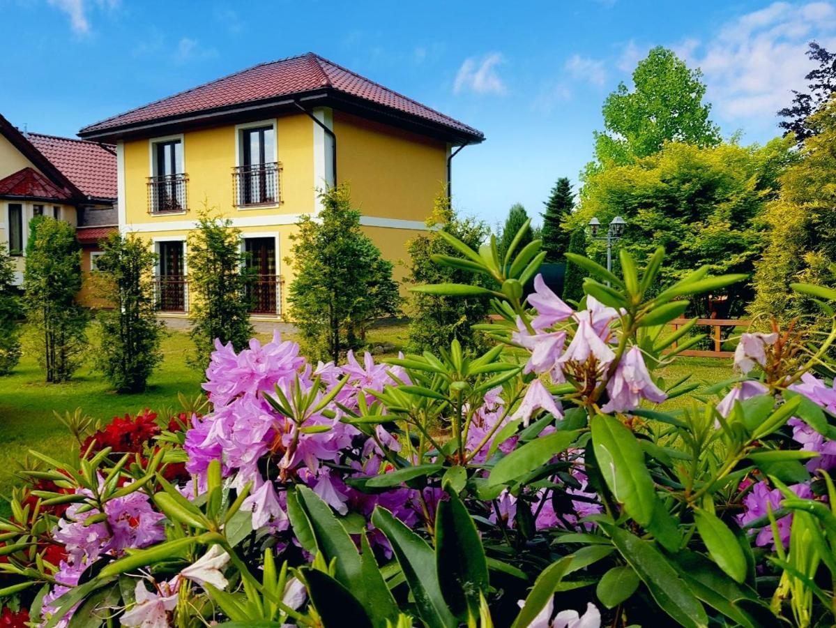 17 Apartament *
